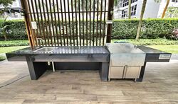 Boathouse Residences (D19), Condominium #500918321
